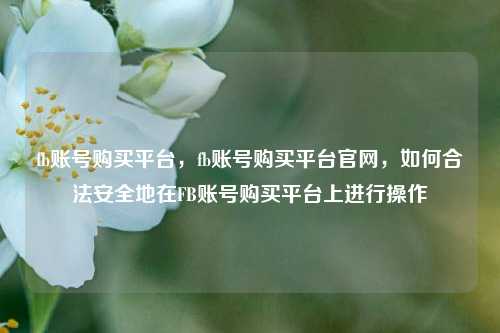 fb账号购买平台，fb账号购买平台官网，如何合法安全地在FB账号购买平台上进行操作