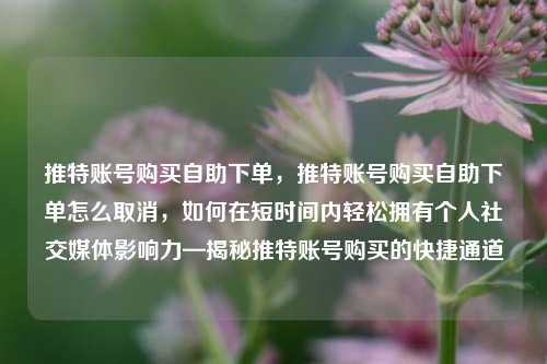 推特账号购买自助下单，推特账号购买自助下单怎么取消，如何在短时间内轻松拥有个人社交媒体影响力—揭秘推特账号购买的快捷通道