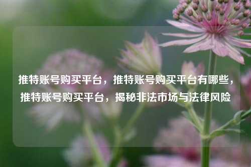推特账号购买平台，推特账号购买平台有哪些，推特账号购买平台，揭秘非法市场与法律风险