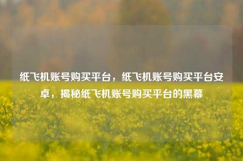 纸飞机账号购买平台，纸飞机账号购买平台安卓，揭秘纸飞机账号购买平台的黑幕