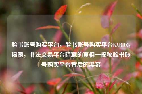 脸书账号购买平台，脸书账号购买平台KARDZ，揭露，非法交易平台暗藏的真相—揭秘脸书账号购买平台背后的黑幕