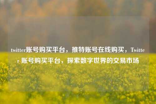 twitter账号购买平台，推特账号在线购买，Twitter 账号购买平台，探索数字世界的交易市场