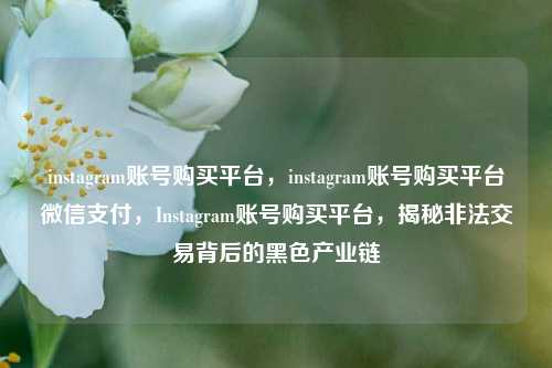 instagram账号购买平台，instagram账号购买平台微信支付，Instagram账号购买平台，揭秘非法交易背后的黑色产业链