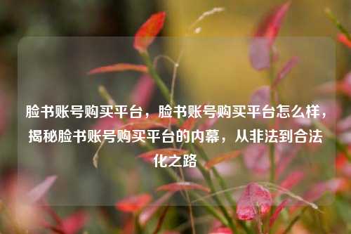 脸书账号购买平台，脸书账号购买平台怎么样，揭秘脸书账号购买平台的内幕，从非法到合法化之路