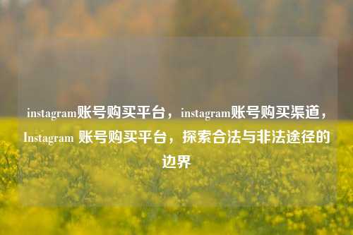 instagram账号购买平台，instagram账号购买渠道，Instagram 账号购买平台，探索合法与非法途径的边界