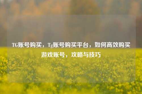 TG账号购买，Tg账号购买平台，如何高效购买游戏账号，攻略与技巧