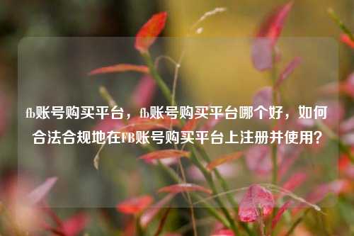 fb账号购买平台，fb账号购买平台哪个好，如何合法合规地在FB账号购买平台上注册并使用？
