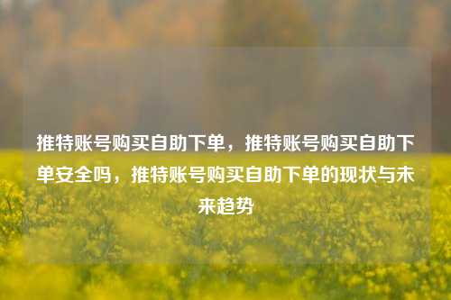 推特账号购买自助下单，推特账号购买自助下单安全吗，推特账号购买自助下单的现状与未来趋势
