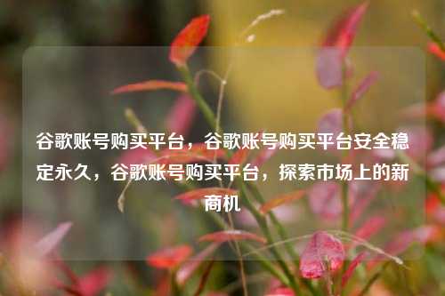 谷歌账号购买平台，谷歌账号购买平台安全稳定永久，谷歌账号购买平台，探索市场上的新商机