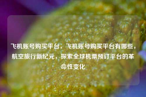 飞机账号购买平台，飞机账号购买平台有哪些，航空旅行新纪元，探索全球机票预订平台的革命性变化