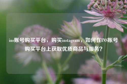 ins账号购买平台，购买instagram，如何在INS账号购买平台上获取优质商品与服务？