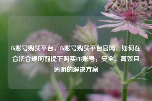 fb账号购买平台，fb账号购买平台官网，如何在合法合规的前提下购买FB账号，安全、高效且透明的解决方案