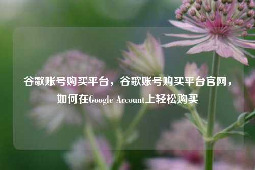 谷歌账号购买平台，谷歌账号购买平台官网，如何在Google Account上轻松购买  第1张