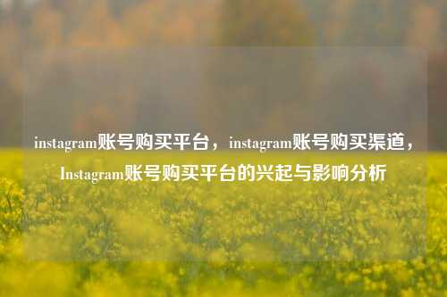 instagram账号购买平台，instagram账号购买渠道，Instagram账号购买平台的兴起与影响分析