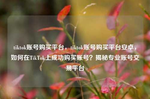 tiktok账号购买平台，tiktok账号购买平台安卓	，如何在TikTok上成功购买账号？揭秘专业账号交易平台  第1张