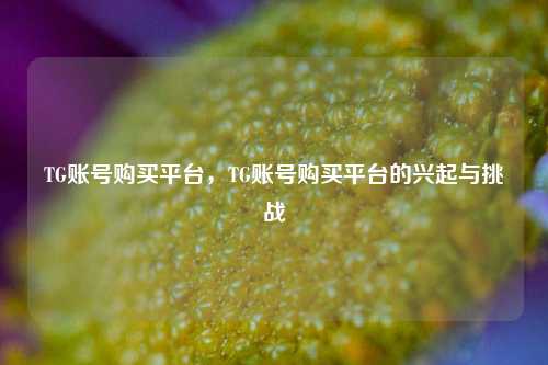 TG账号购买平台，TG账号购买平台的兴起与挑战