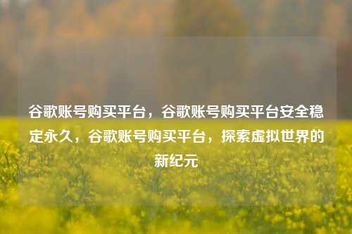 谷歌账号购买平台，谷歌账号购买平台安全稳定永久，谷歌账号购买平台，探索虚拟世界的新纪元